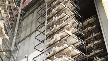Tehnološka inovacija oblikovane pulpe: 3D-štampani alati, prirodna vlakna i n...
